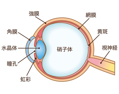 診療案内